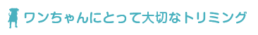 わんちゃんにとって大切なトリミング