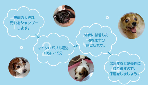 1.表面の大きな汚れをシャンプーします。→2.マイクロバブル温浴10分～15分→3.体表に付着した汚れを十分落とします。→4.温浴すると乾燥性になりますので、保湿をしましょう。