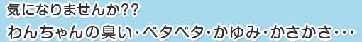 気になりませんか？？ わんちゃんの臭い･ベタベタ・かゆみ・かさかさ・・・