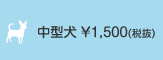 中型犬 ￥1,575