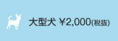 大型犬 ￥2,100