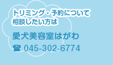 マイクロバブルの効能についてもっと知りたい方は 愛玩動物管理士1級　小瀧博子 090-7237-6920